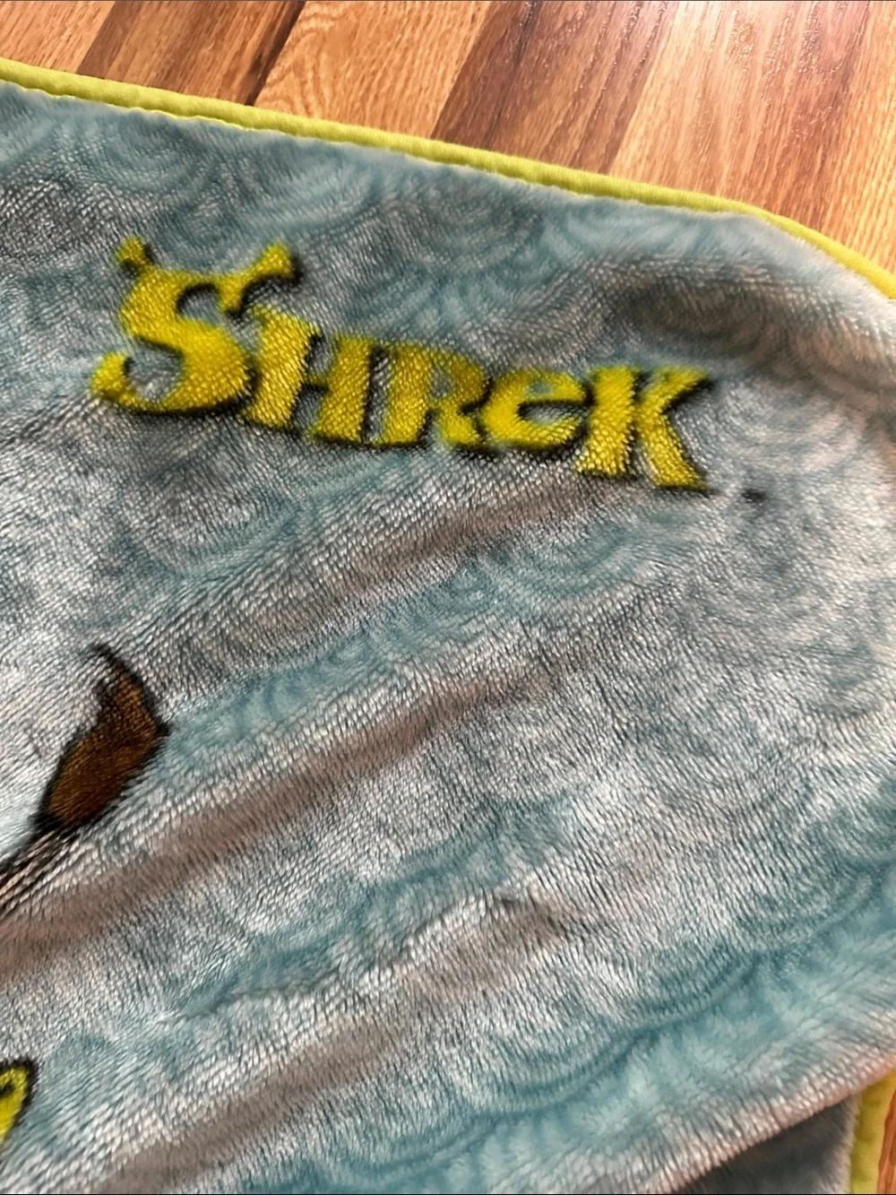 Shrek Plush Fleece Throw Blanket - Blue/Green